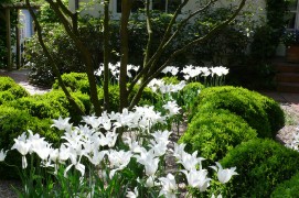 Gartengestaltung Hamburg